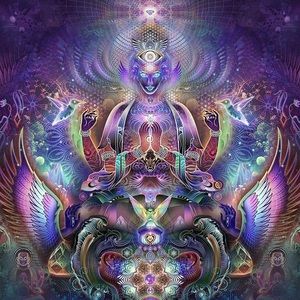 Meet your Posher, Harrison